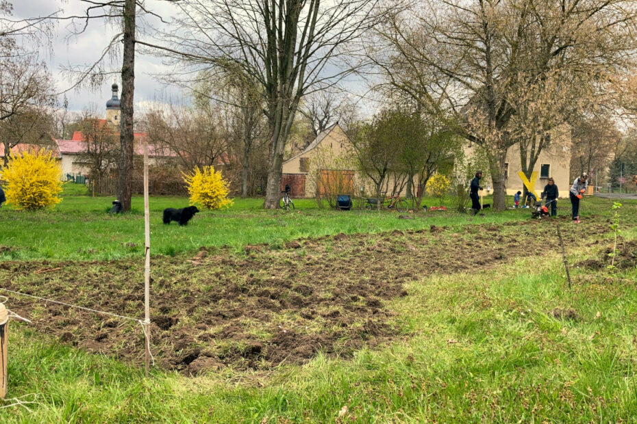 Neue Blühwiesen in Pödelwitz