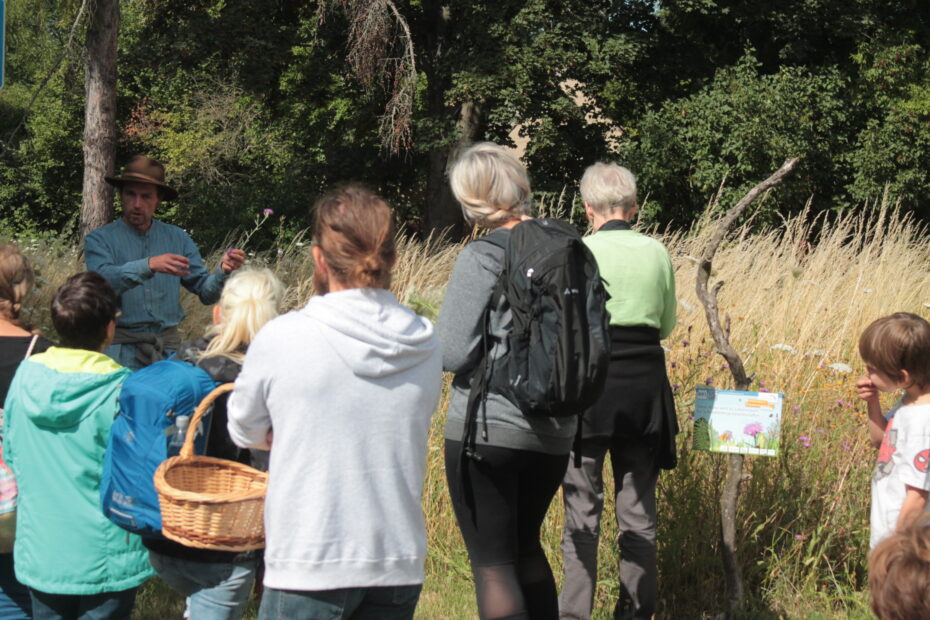 Kräuterwanderung in Pödelwitz