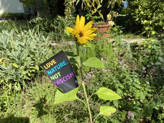 FARN-Workshop mit Florian Teller – Ökologie von rechts: Völkische Ideologien im Natur- und Umweltschutz