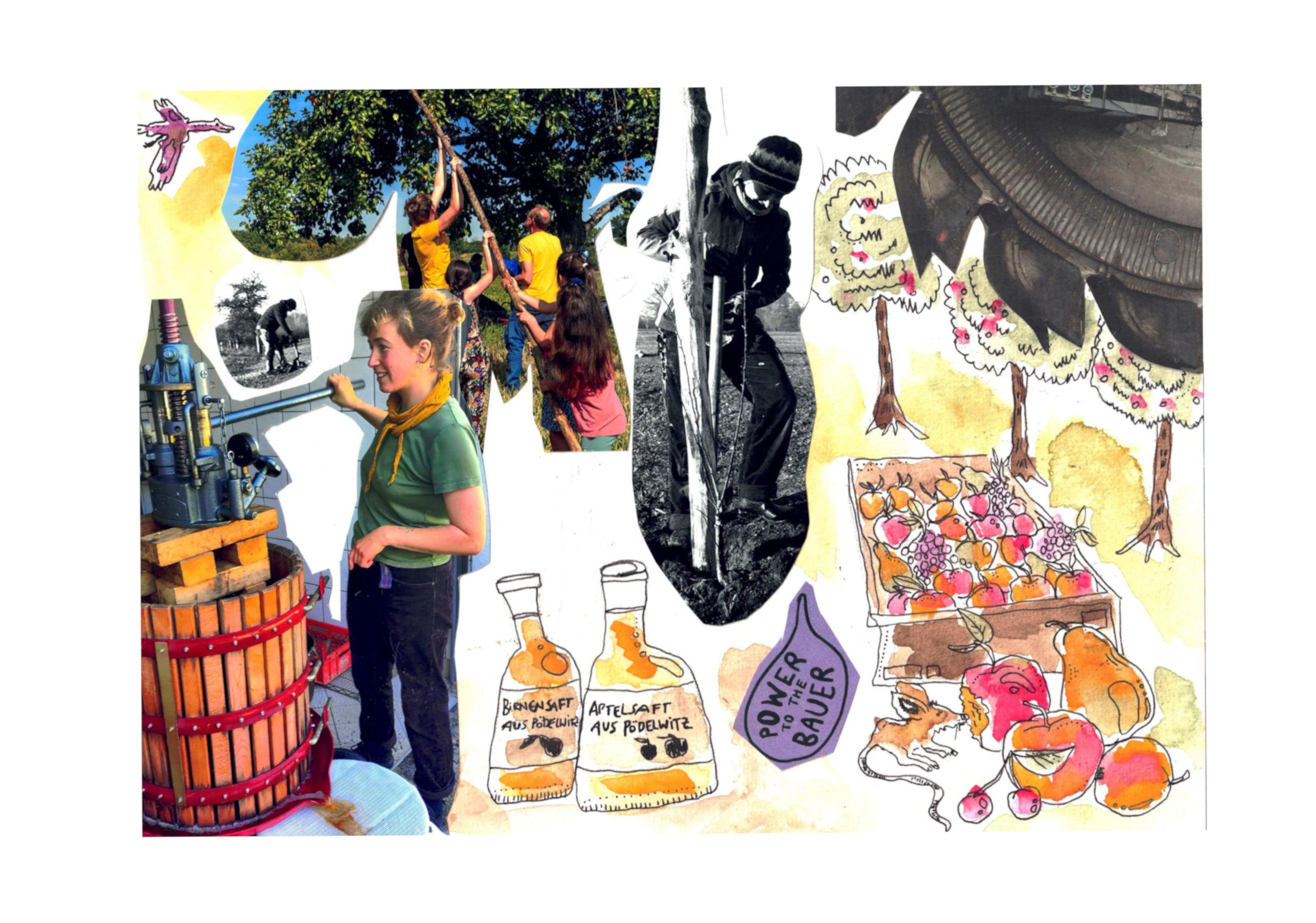 Kirschenundkohle_Collage2